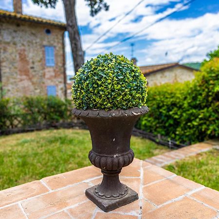 Un Petit Paradis Castiglione della Valle Exterior foto