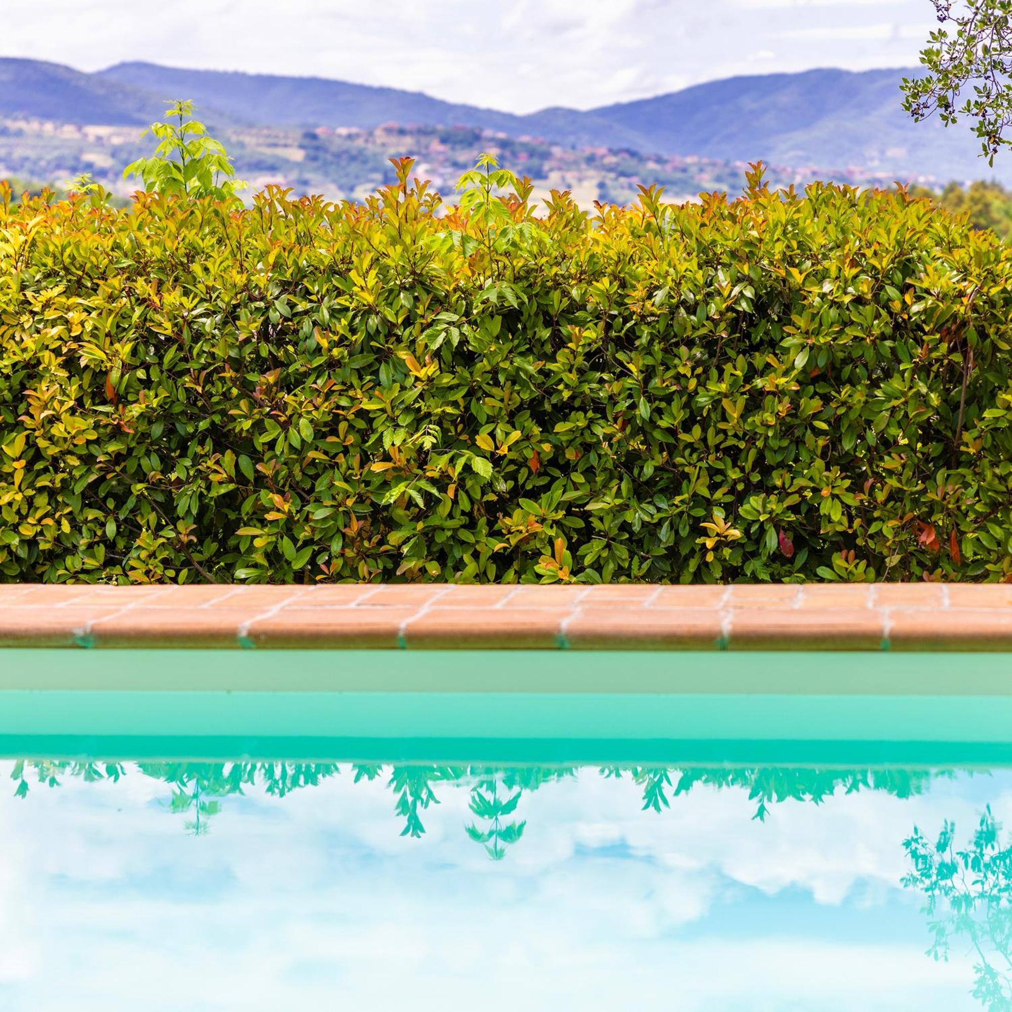 Un Petit Paradis Castiglione della Valle Exterior foto