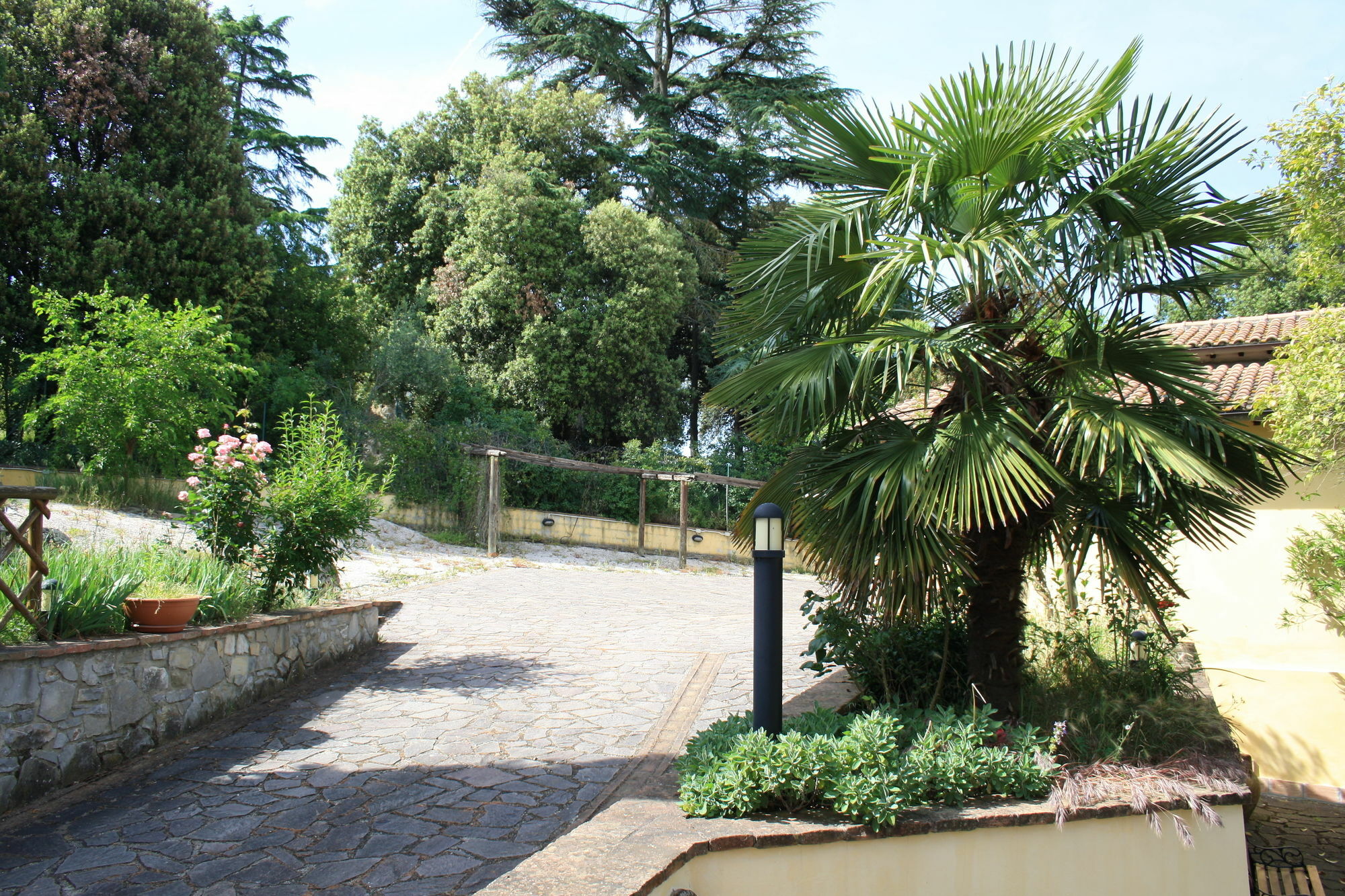 Un Petit Paradis Castiglione della Valle Exterior foto